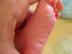Daania-310_72x54_c